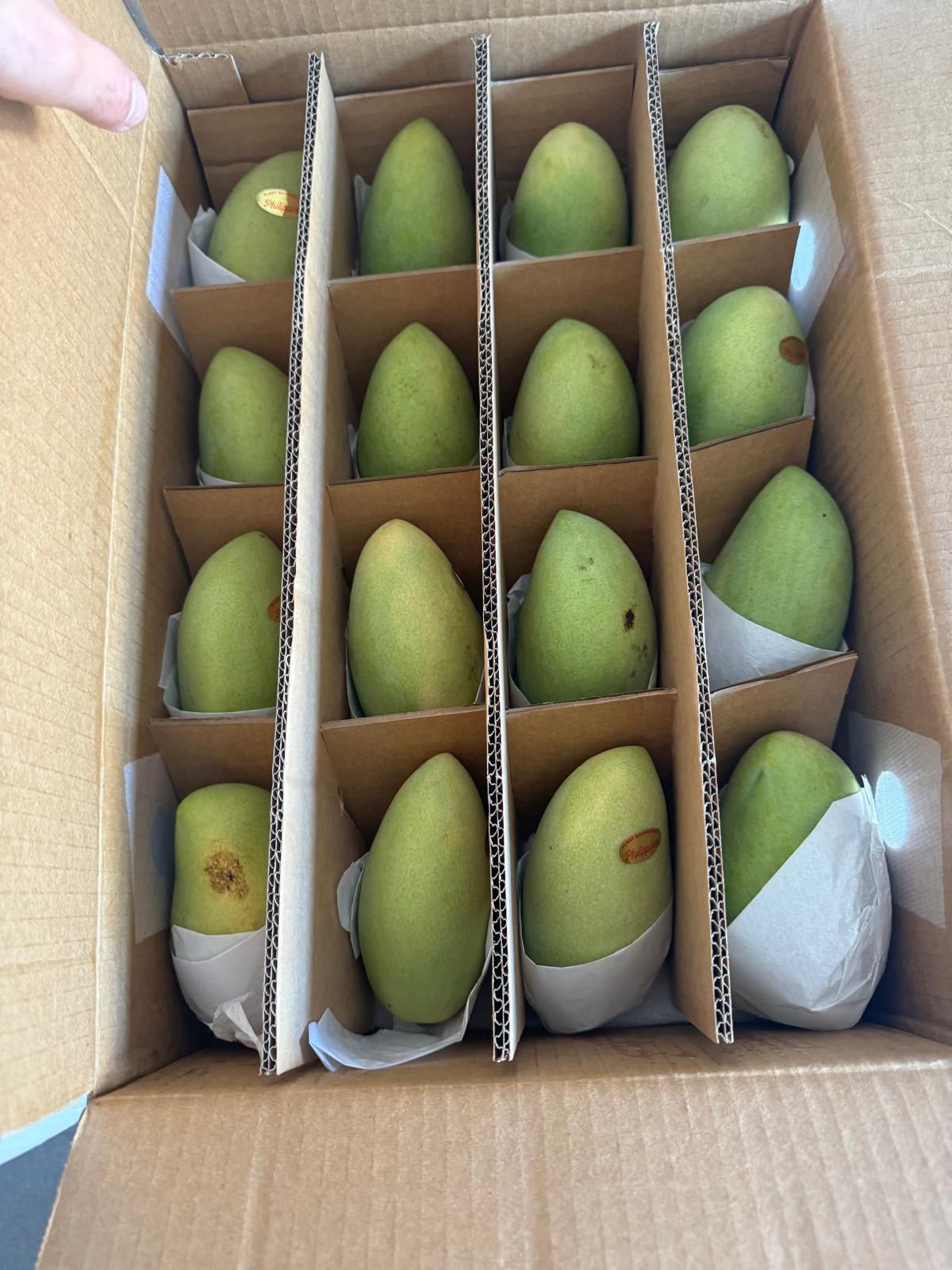 PHILIPPINE SWEET MANGO ( Mangga Pilipinas) Medium size per piece PRE-ORDER