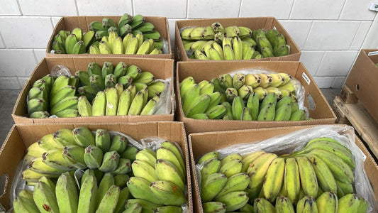 PHILIPPINE BANANA SABA ( Saging saba Pinas) per kilo PRE-ORDER