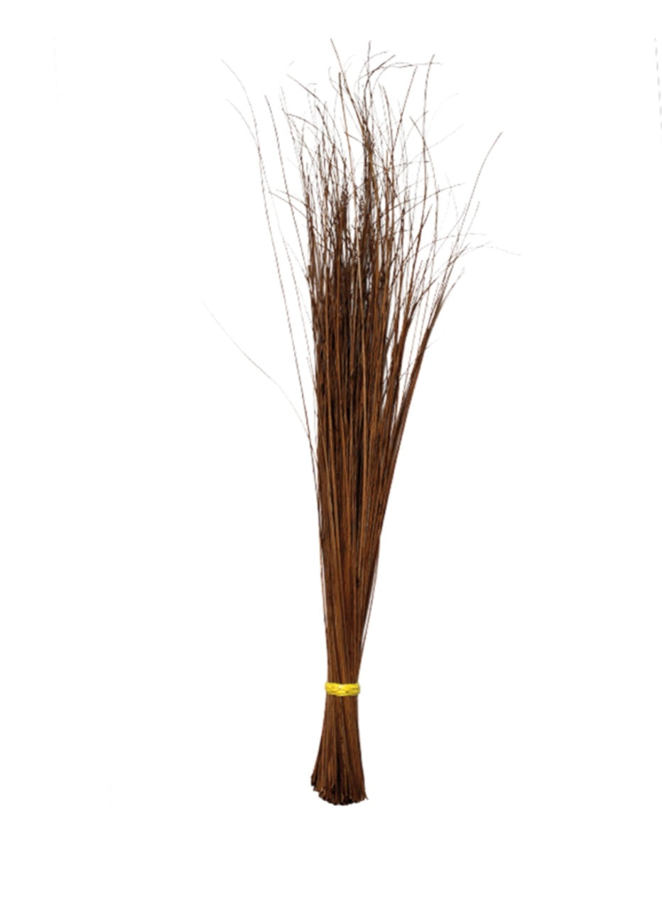 WALIS TINGTING ( HARD COCONUT BROOM)